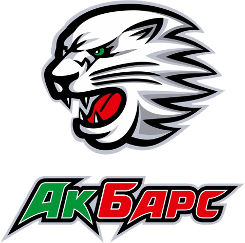 Ak Bars Kazan 2010-2018 Alternate Logo iron on paper